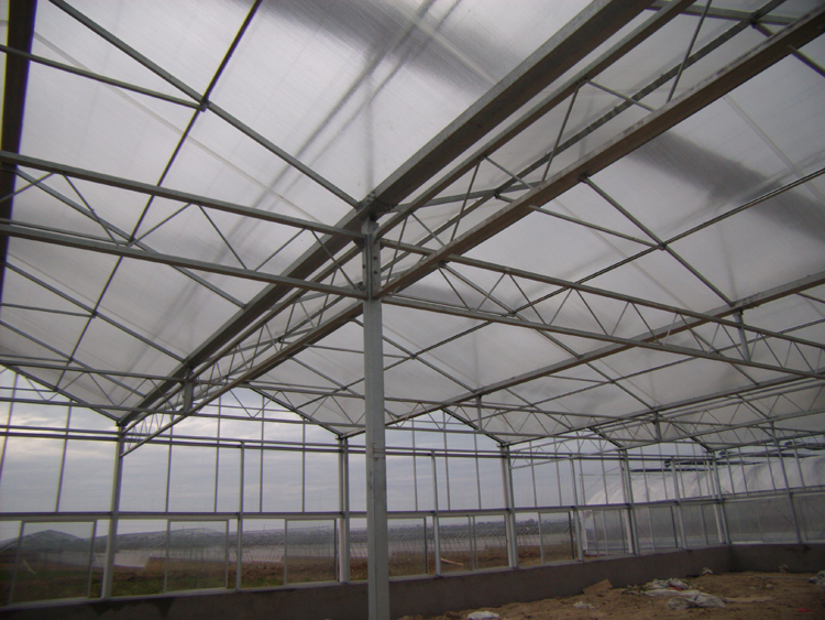 安徽農業大學 水稻育早 玻璃溫室