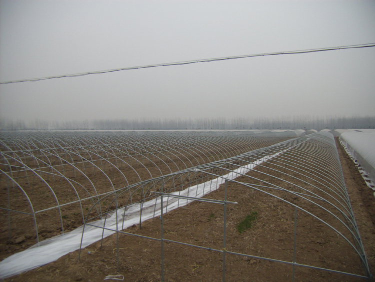 肥東梁園  天信農業蔬菜大棚